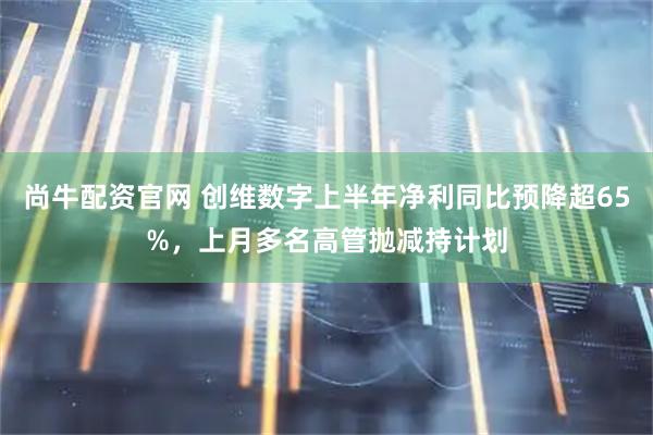 尚牛配资官网 创维数字上半年净利同比预降超65%，上月多名高管抛减持计划